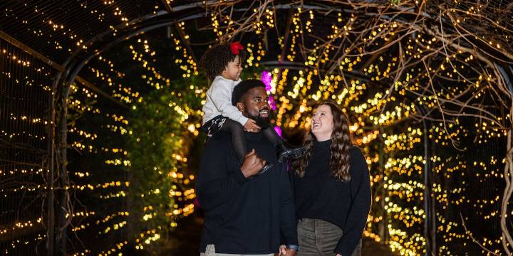 Cheekwood to be lit up with 1 million lights this holiday season