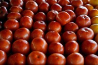 Judges order Trump administration to use emergency reserves for SNAP payments during the shutdown