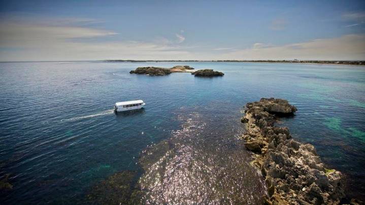 Fears more tourists will drown without Penguin Island ferry as jetty remains out of operation
