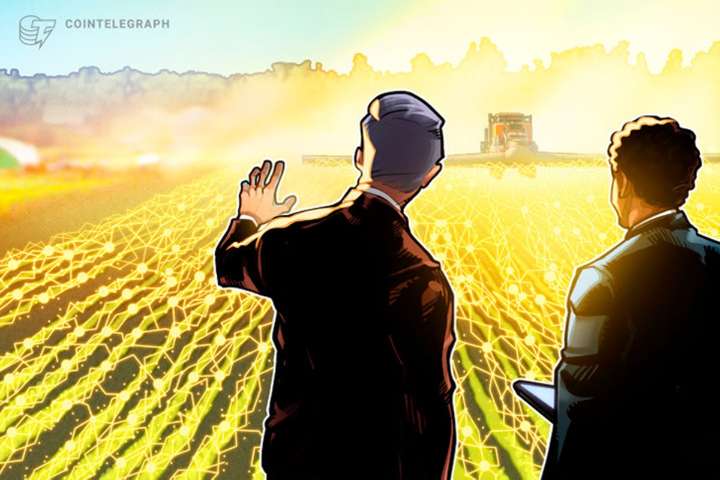 Bitcoin ‘vai virar soja’ e derreter até 50%, alerta especialista