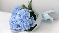 ¿Por qué se entregan flores azules este 3 de octubre? Conoce cuál es el significado del curioso regalo