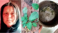 Una mujer falleció y dos hombres resultaron graves por comer planta tóxica en Brasil