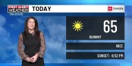 Much cooler this week!