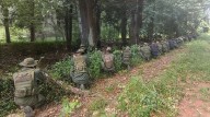 Activada la ZODI en los estados Apure, Amazonas y Táchira para garantizar la defensa integral y la soberanía