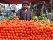Tomato prices surpass chicken meat in Karachi