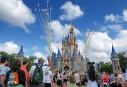 Magic Kingdom hosted most theme park visitors last year