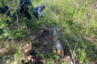 Tala ilegal arrasa con 22 árboles nativos en bosque seco protegido del Magdalena