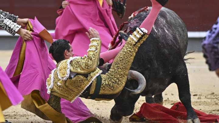 David Galván reaparecerá en Jaén una semana después de su percance en Las Ventas