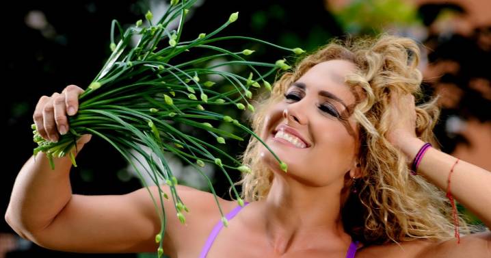 Tu intestino habla: cómo el azúcar, los antibióticos y la falta de fibra afectan la salud