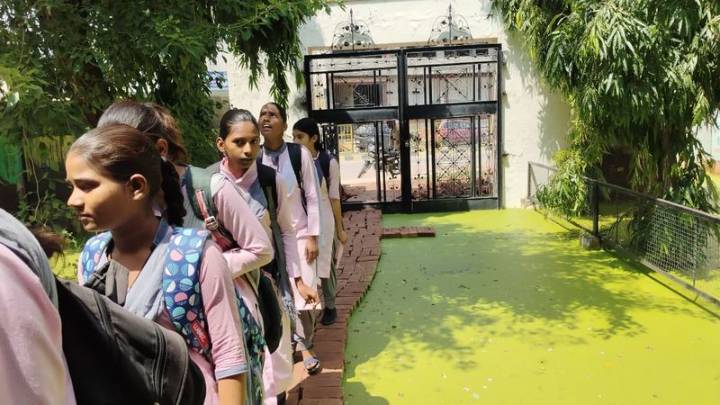 In 7 yrs, number of govt schools 'dip' in Haryana, private up