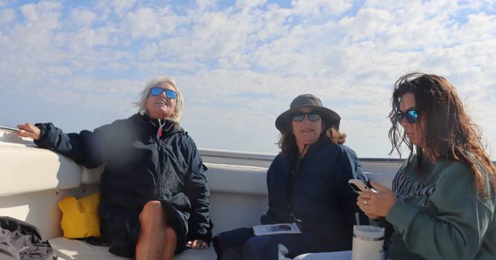 It's shark-watching time off Chatham. We take you on a tour