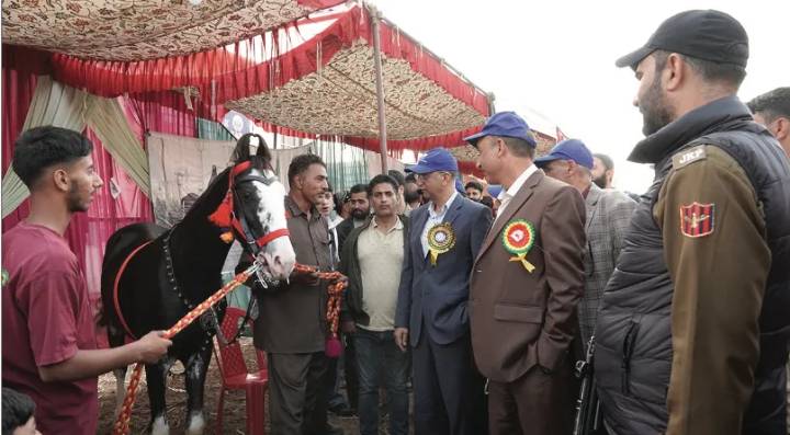 Livestock Show 2025: Scientists, entrepreneurs, farmers showcase Valley’s rich animal resources, agri