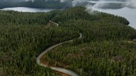 This Vancouver Island town was named one of the top travel destinations in the world for 2026: Expedia