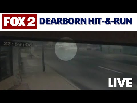 Dearborn hit-and-run suspect to stand trial