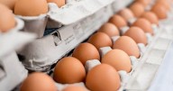 Alert issued for UK households buying cartons of eggs in October