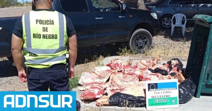 20:33 Golpe a la faena clandestina: incautan 1000 kilos de carne en la Patagonia