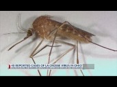 40 reported cases of La Crosse virus in Ohio