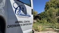 Police, animal control workers remove dozens of cats from Cottonwood Heights home