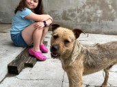 Un perro callejero siguió a una niña durante toda la peregrinación a Luján y su familia lo adoptó: "Se tenían que encontrar"