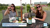 CT LIVE: Rosedale Farms & Vineyards