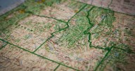 Only Geography Buffs Can Score 50/50 On This U.S. State Map Quiz
