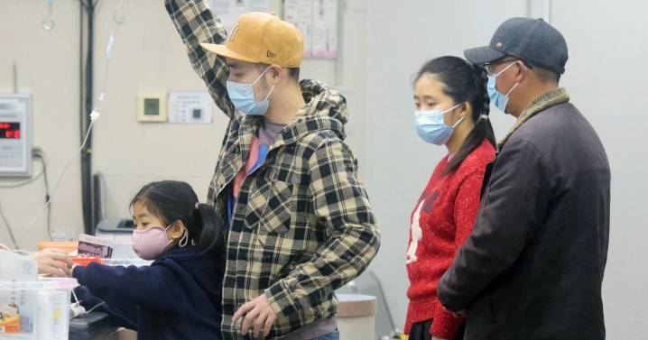 New pandemic fears as swine flu strain found in ferrets mutates to hit humans in China