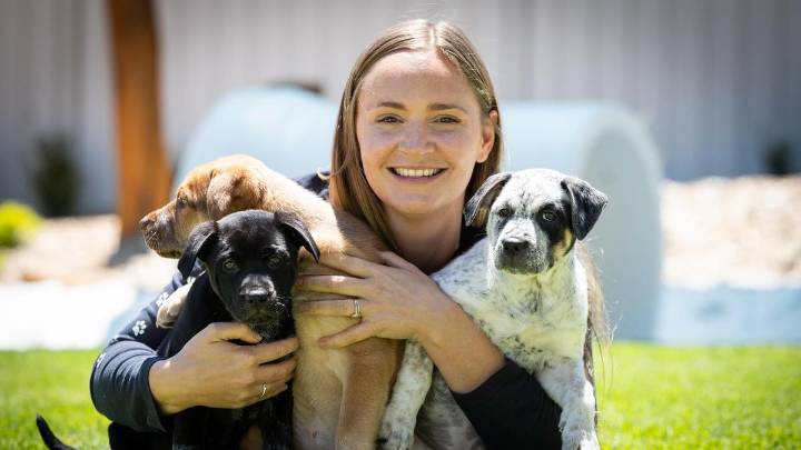 Dogs’ Refuge Home Shenton Park celebrates 90 years of finding pups their forever home