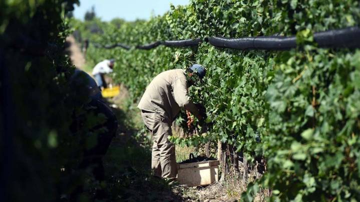 El RENATRE aumentó 10% la prestación por desempleo rural a partir de noviembre de 2025