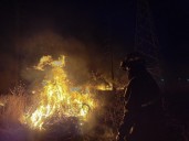 Incendios forestales arrasan con 8 mil hectáreas en Guanajuato durante 2025