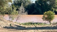Avanzan las actuaciones en el río Ebro para la prevención y adaptación a las inundaciones