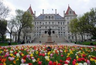 N.Y. state civil service: Work experience is now alternative to college degree for 800 jobs