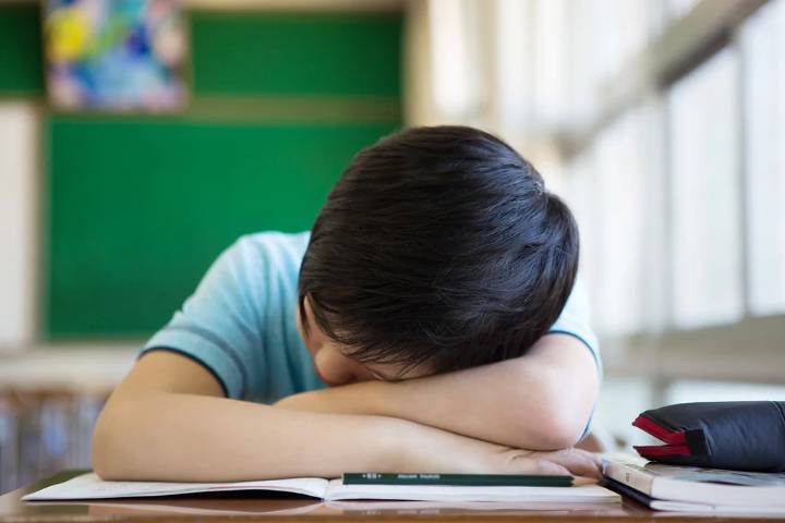 Senado aprueba proyecto que prohíbe el madrugón escolar en Colombia
