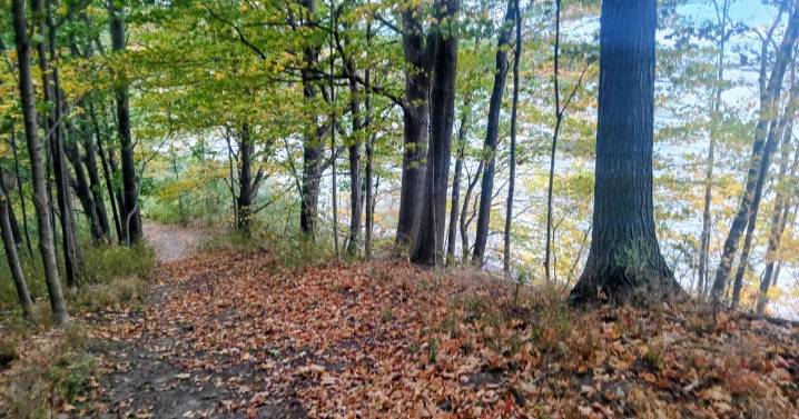 P.M. Charter Township approves grant agreement for park entry, trail completion