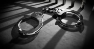 Lyndhurst man faces drug, gun charges after raid