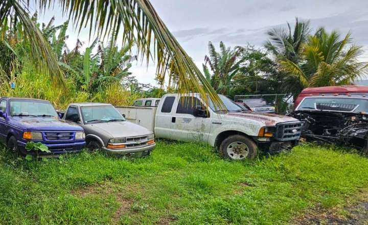 Cesa y desista para mecánicos y hojalateros ilegales
