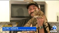 West Hollywood cat taken by delivery driver reunited with owner