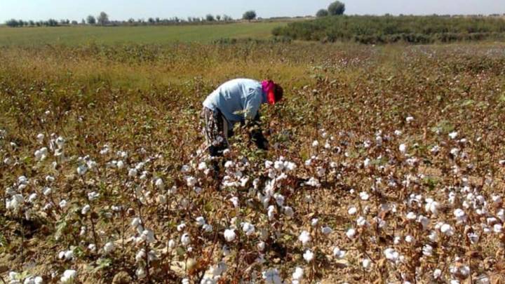 Cotton Farmers Block National Highway in Nalgonda