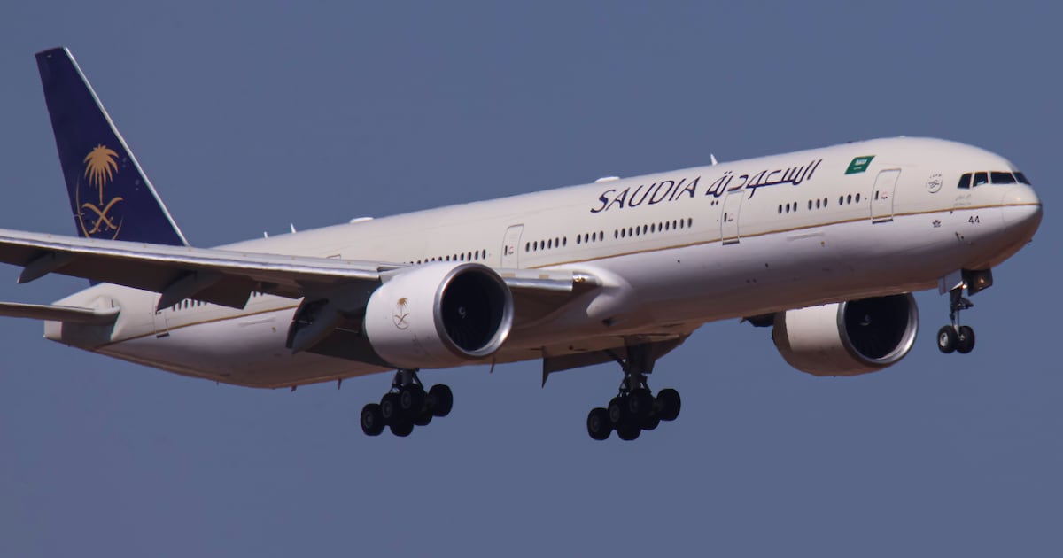 WATCH: Boeing 777 Plows Through Flock of Birds in Hellish Scene