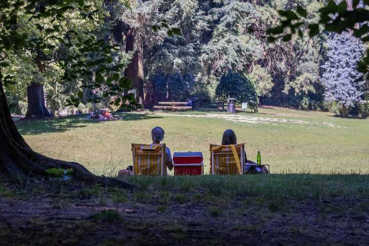 Editorial endorsement November 2025: Vote ‘no’ on flawed parks levy and tell city to try again