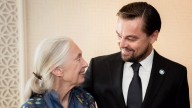 Leonardo DiCaprio's Last Message to Jane Goodall: 'You Are My Hero'
