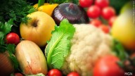 Governor Morrisey expedites $1.1 million for West Virginia food banks amid federal shutdown