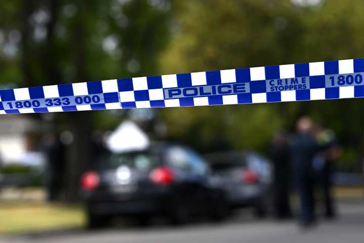 Police appeal for information after dog’s death in Newcastle