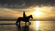 Caulfield Cup 2025 form guide, tips, predictions, horses, start time, betting, odds, favourite, predicted first 4, weather