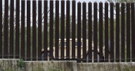 Texas National Guard troops now protecting federal property in Chicago area, official says