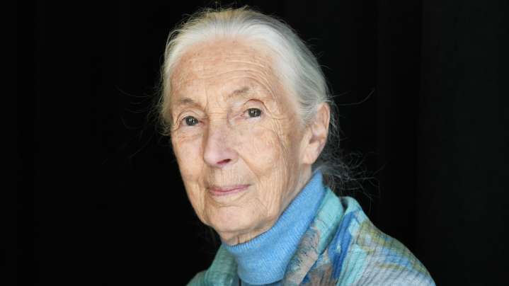 Dr. Jane Goodall Made Her Feelings About Trump Crystal Clear