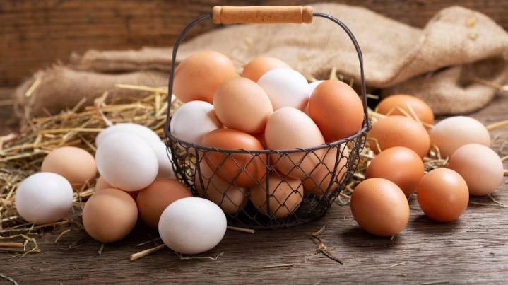 Los argentinos siguen comiendo más de un huevo por día en promedio: factores clave de una tendencia de consumo