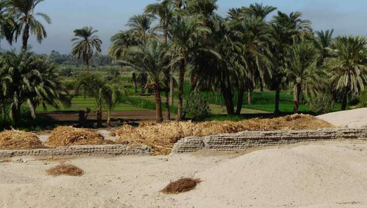 Everyone Thought The Ancient City Of Akhetaten Was Destroyed By Plague. A New Analysis Says It Never Happened