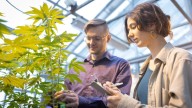 UW-Stevens Point dives into cannabis history and research Oct. 14