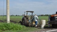 Agricultores de Guanajuato analizan sumarse al paro nacional por precios justos del maíz
