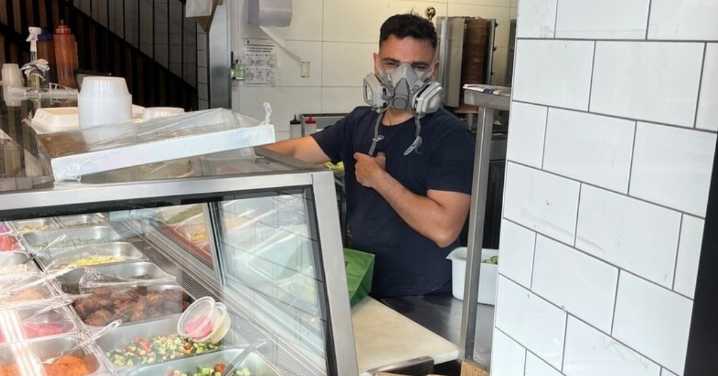 Neutral Bay, Sydney news: Aden claims these trees are making him ill